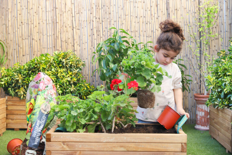 Actividades Al Estilo Montessori Con Plantas Creciendo Con Montessori