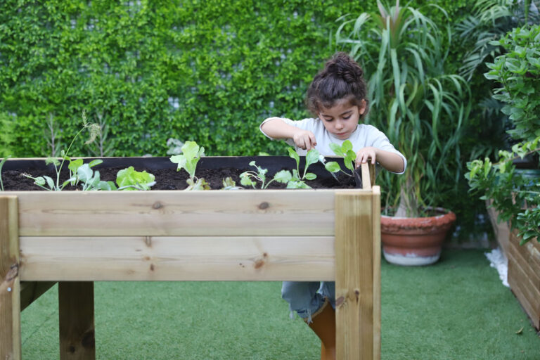 Crear Un Huerto Urbano Montessori Para Niños – Creciendo Con Montessori